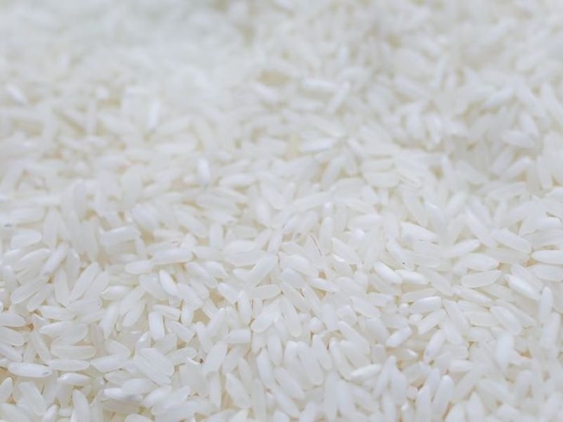 IR64 Rice