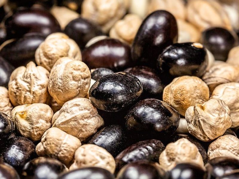 Pulses